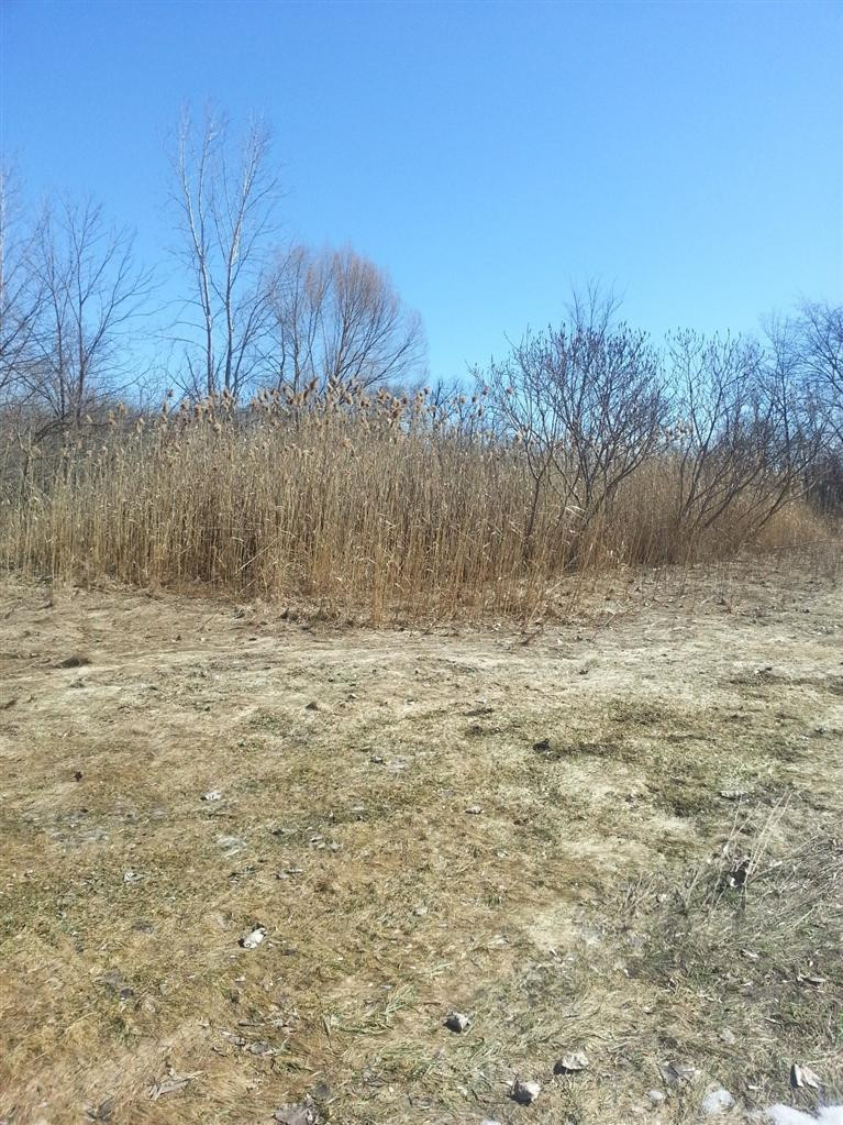 4521 Willis Road Milan, MI 48160 - Photo 6 of 10 Photo 6