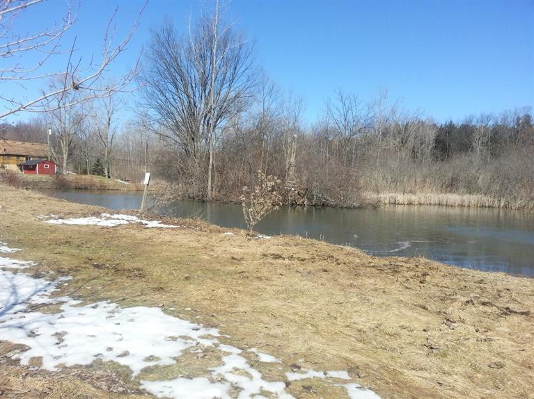 4521 Willis Road Milan, MI 48160 - Photo 8 of 10 Photo 8