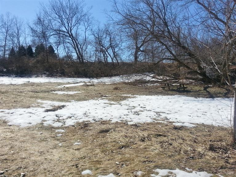 4521 Willis Road Milan, MI 48160 - Photo 9 of 10 Photo 9