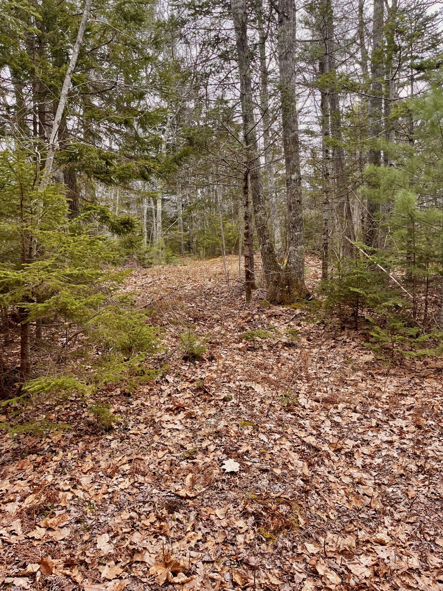 92 L Russel Road Chamberlain, ME 04541 - Photo 16 of 21