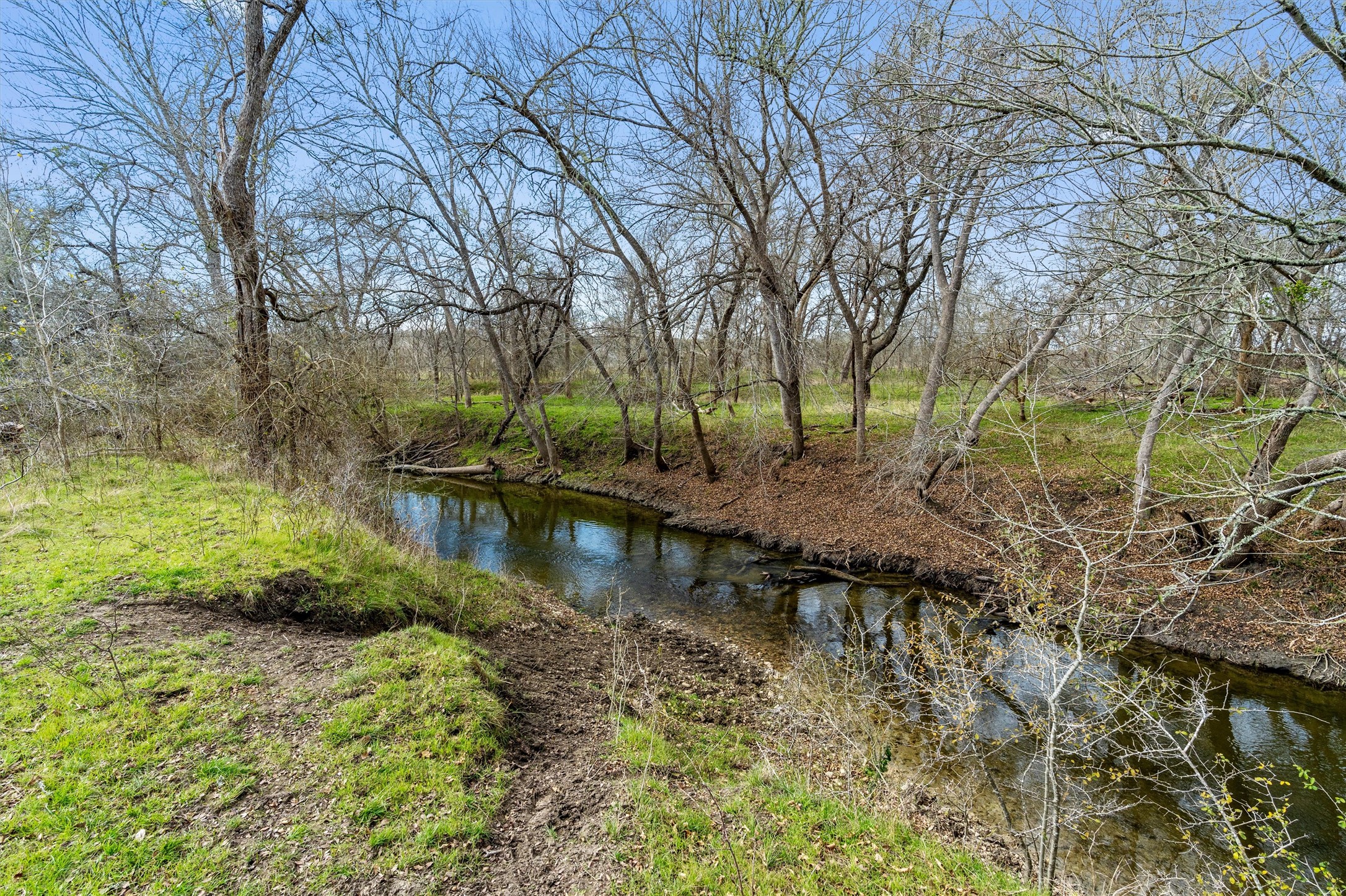 0 Rolling Ridge Road Lockhart, TX 78644 - Photo 10 of 10 A tranquil stream meanders through a wooded landscape, offering a serene natural boundary.