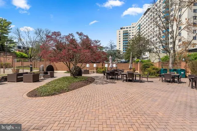 a view of a swimming pool with brick wall and plants