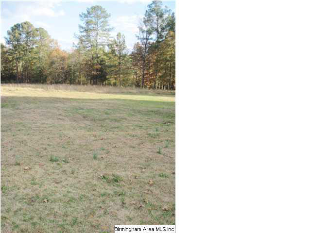 4264 Cedar Springs Road Jacksonville, AL 36265 - Photo 16 of 29