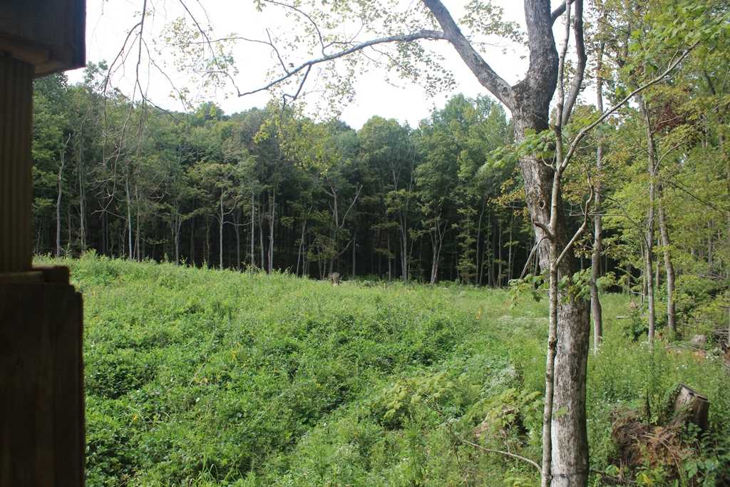 0 Poe Hill Road Elkton, KY 42220 - Photo 10 of 20 Gallery Image 10