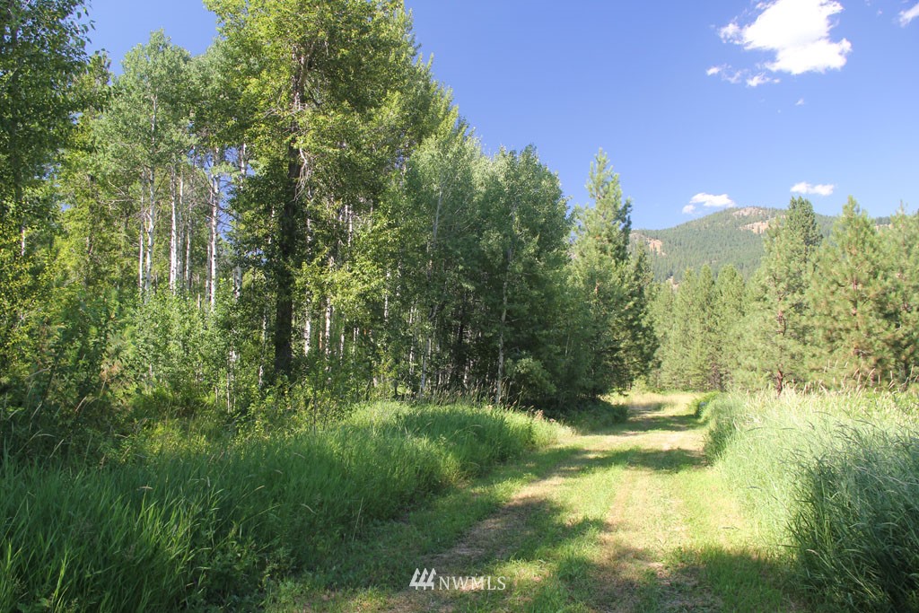 18235 State Rte 20, Unit A Winthrop, WA 98862 - Photo 9 of 25 Gallery Image 9