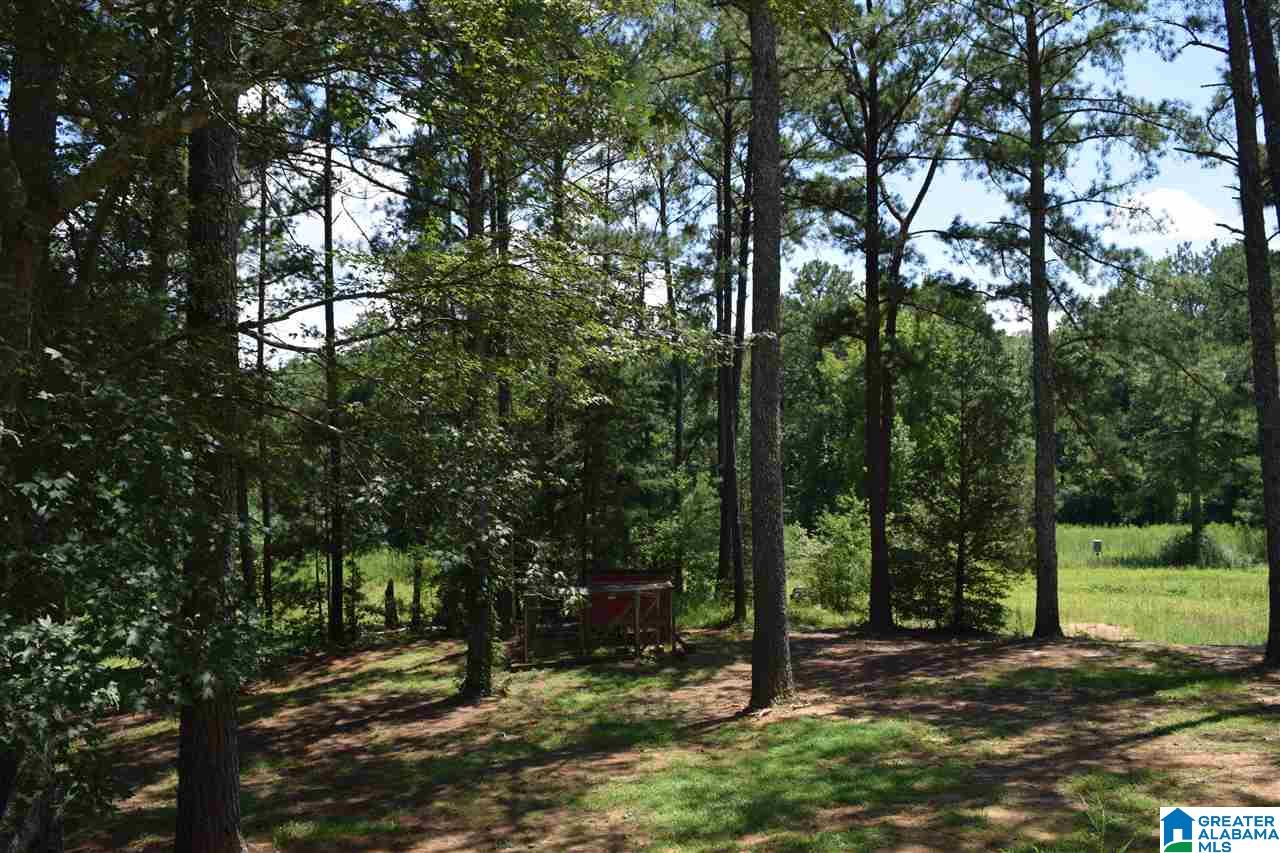 40 Armstrong Loop Hayden, AL 35079 - Photo 8 of 45