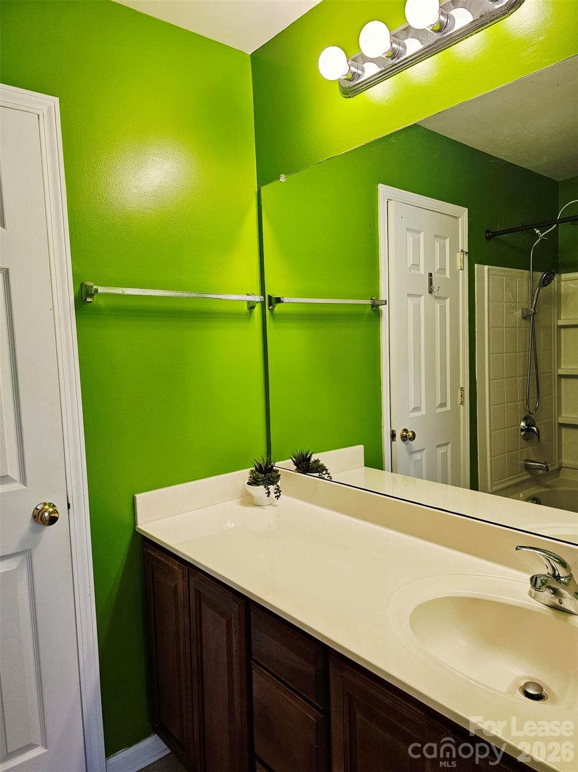 10609 Fuller Ridge Circle Charlotte, NC 28270 - Photo 18 of 29 a bathroom with a sink and a mirror