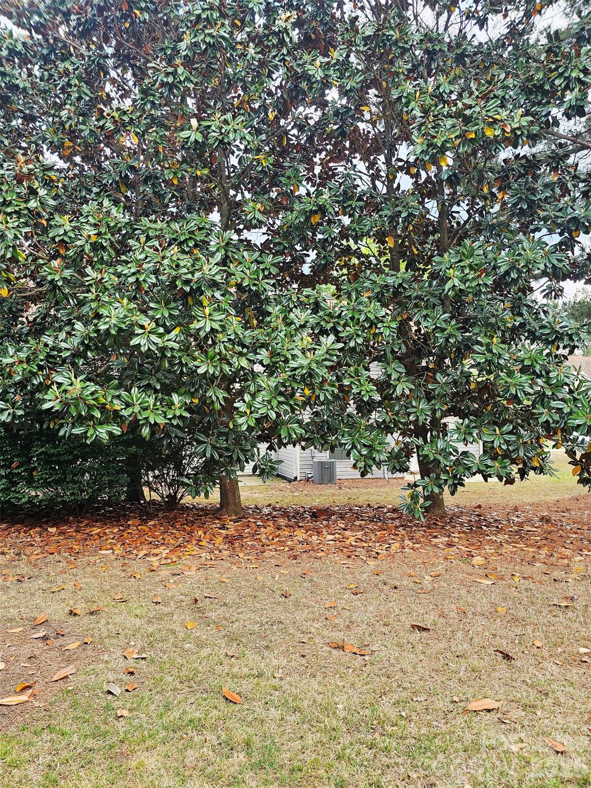 10609 Fuller Ridge Circle Charlotte, NC 28270 - Photo 27 of 29 a view of backyard of a house