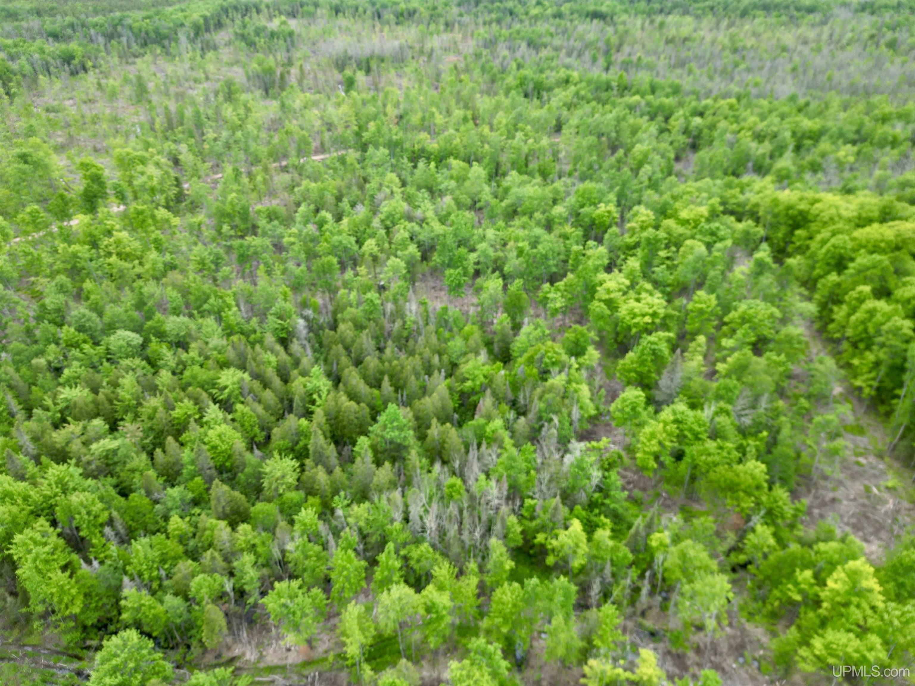 3601 Cr444 Road Rock, MI 49880 - Photo 53 of 78