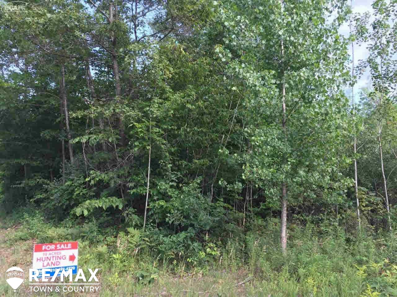 0 Stockwell Road Harrison, MI 48625 - Photo 6 of 8