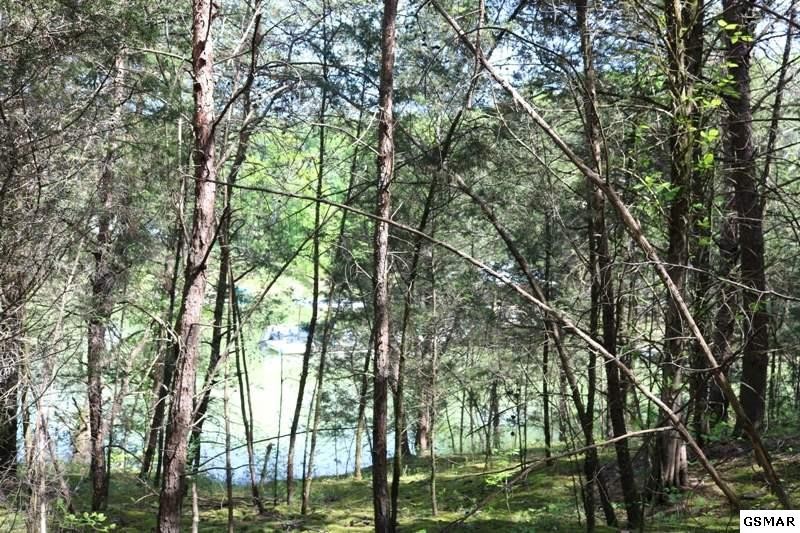 0 Lot 35 Buck Horn Road Sevierville, TN 37876 - Photo 12 of 30