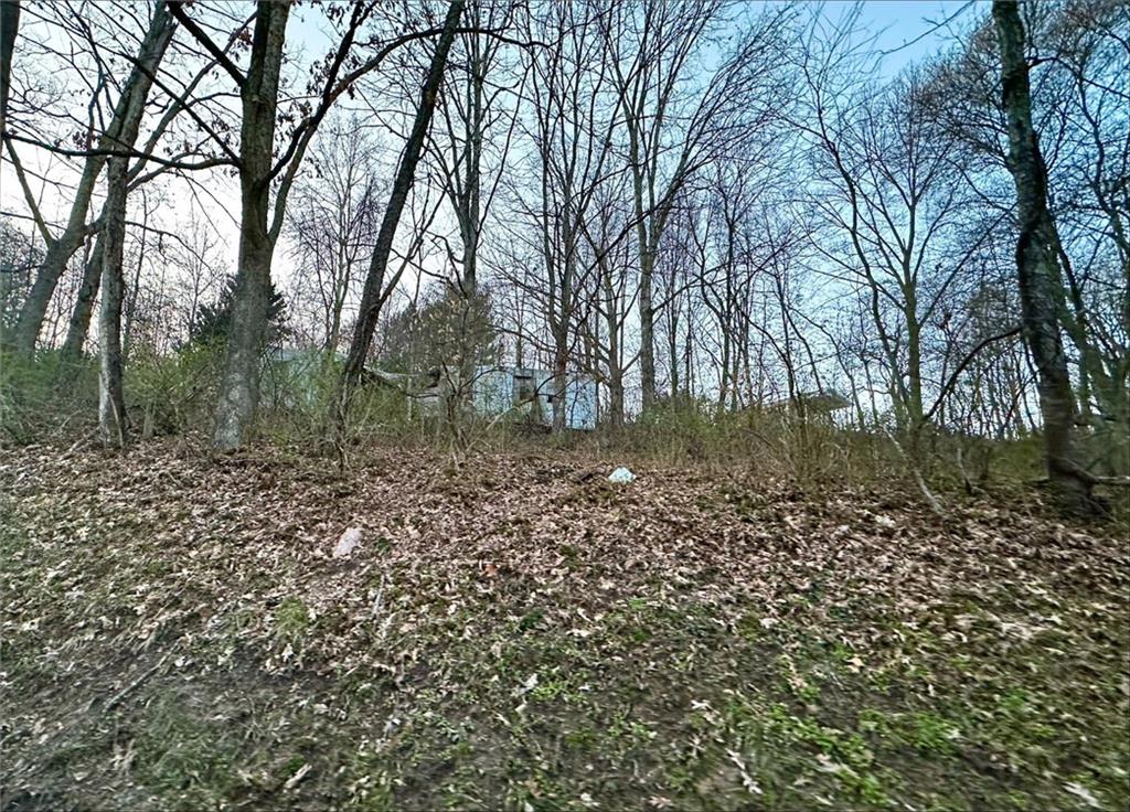 2011 Valley View Drive Apollo, PA 15613 - Photo 4 of 9 Gallery Image 4