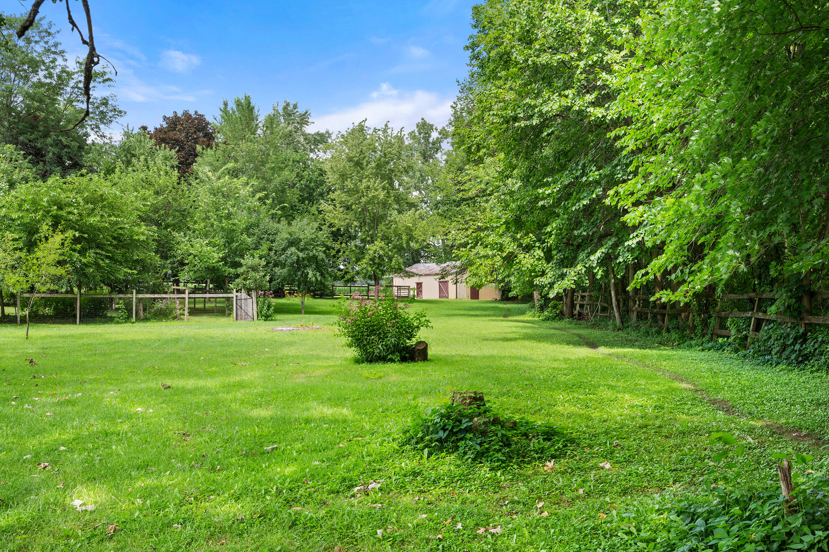 16210 Barber Greene Road Maple Park, IL 60151 - Photo 17 of 52 a green field with lots of trees in it