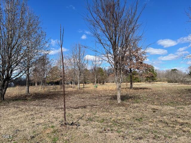 92 White Tail Path Erwin, NC 28339 - Photo 2 of 2 IMG_4747