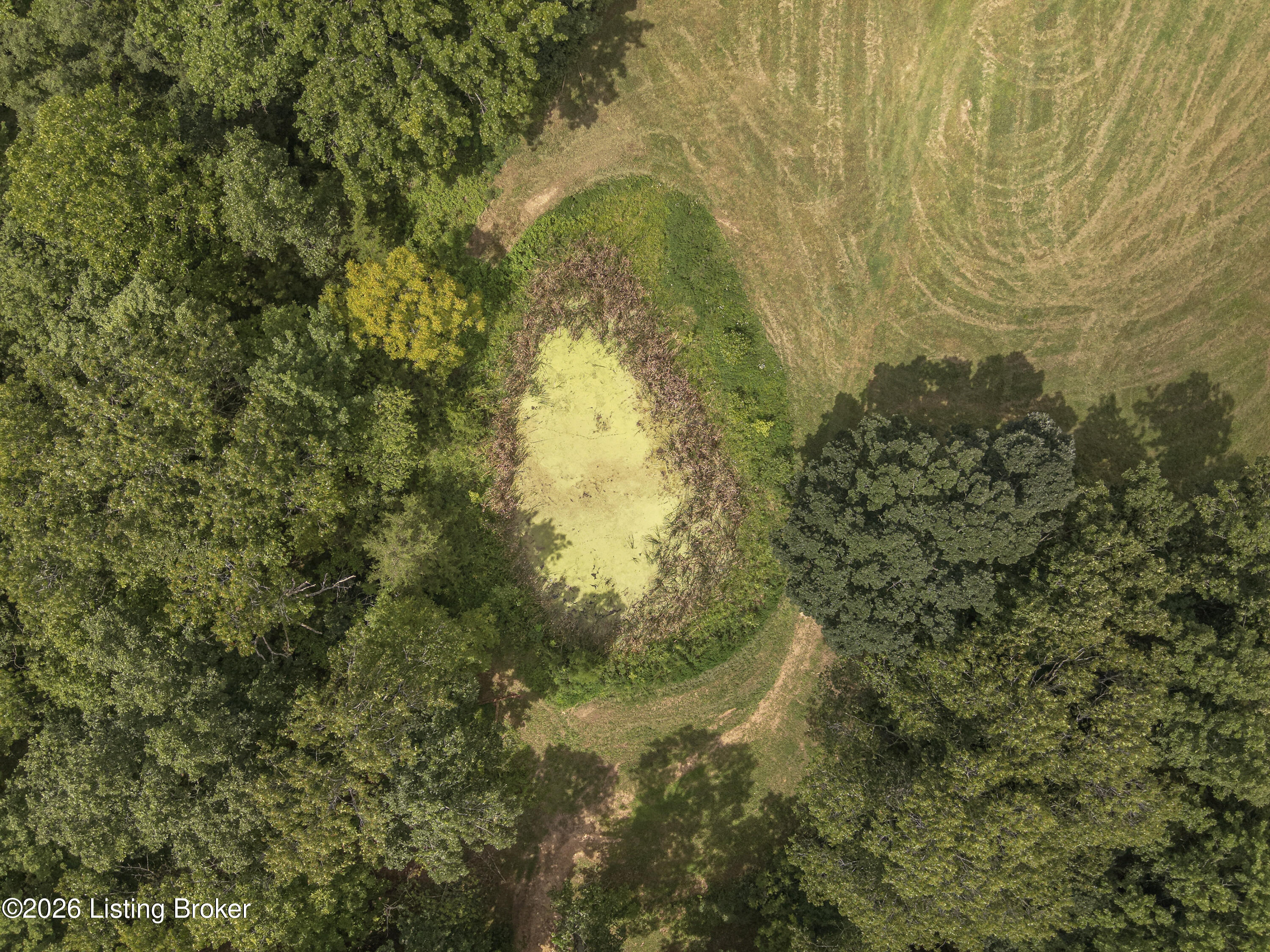 3977 Baker Ridge Road Mackville, KY 40040 - Photo 15 of 24 13-DJI_20260804151533_0004_W
