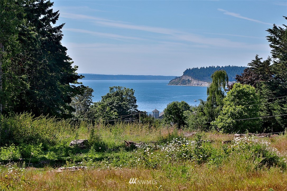 0 Wahl Road Freeland, WA 98249 - Photo 1 of 35