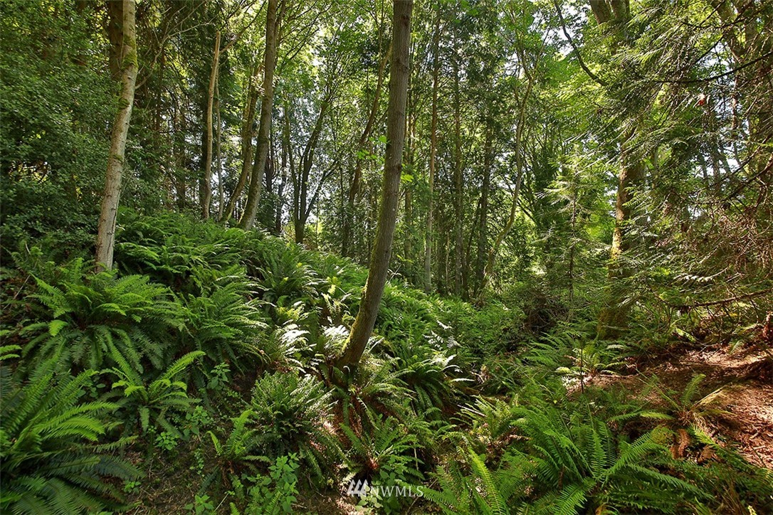 0 Wahl Road Freeland, WA 98249 - Photo 13 of 35
