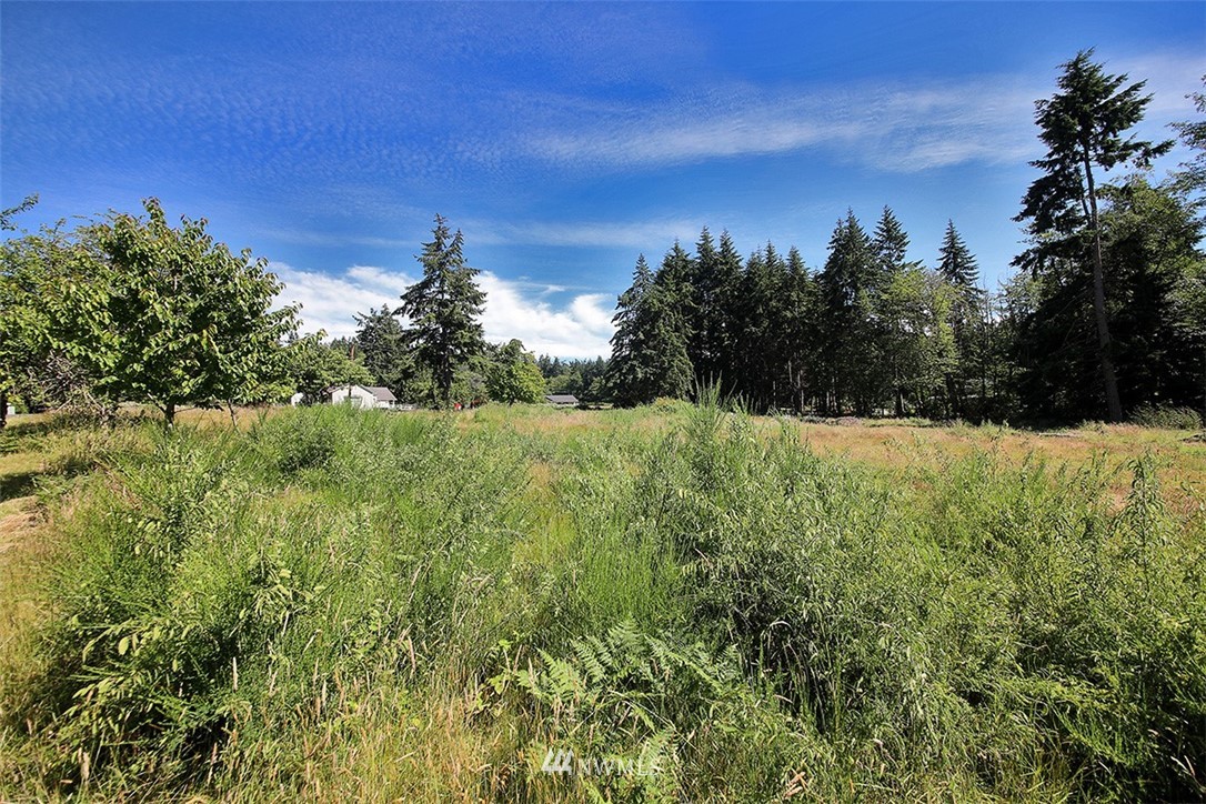 0 Wahl Road Freeland, WA 98249 - Photo 15 of 35