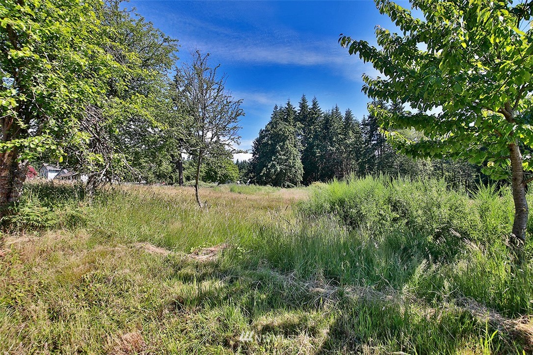 0 Wahl Road Freeland, WA 98249 - Photo 16 of 35