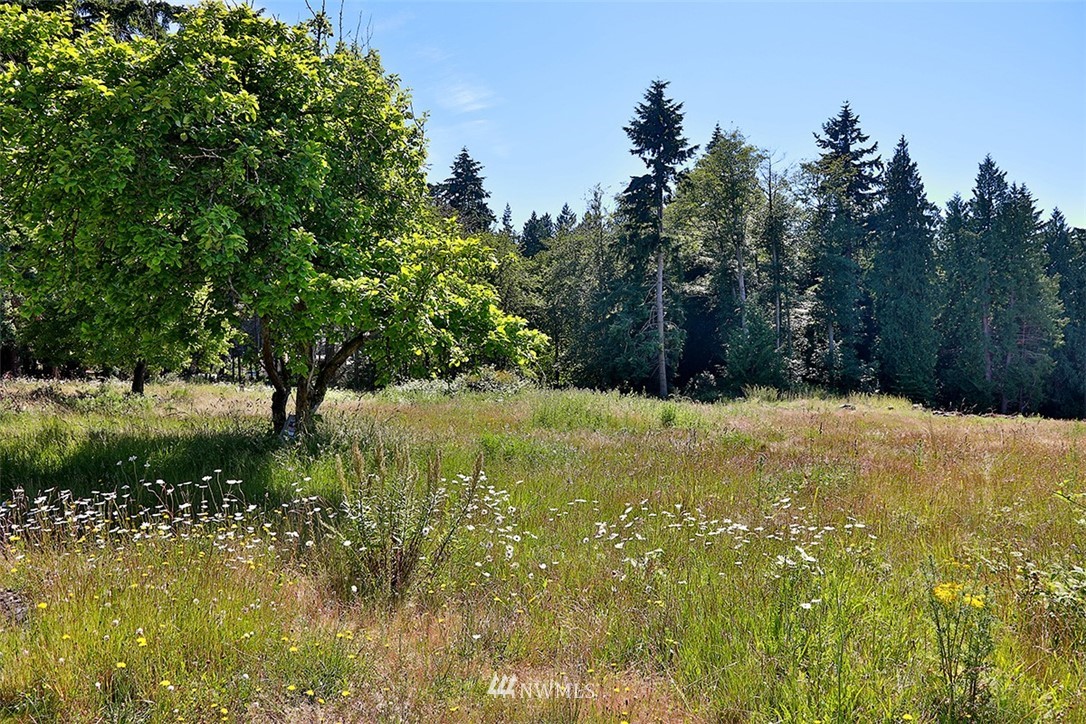 0 Wahl Road Freeland, WA 98249 - Photo 17 of 35