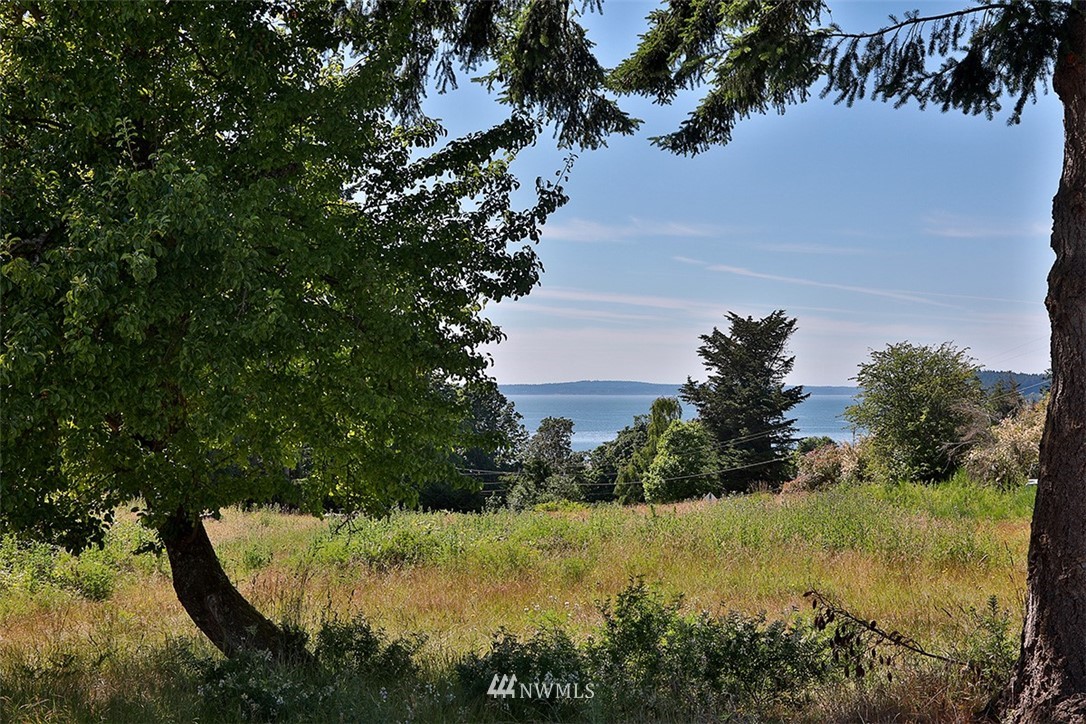 0 Wahl Road Freeland, WA 98249 - Photo 19 of 35