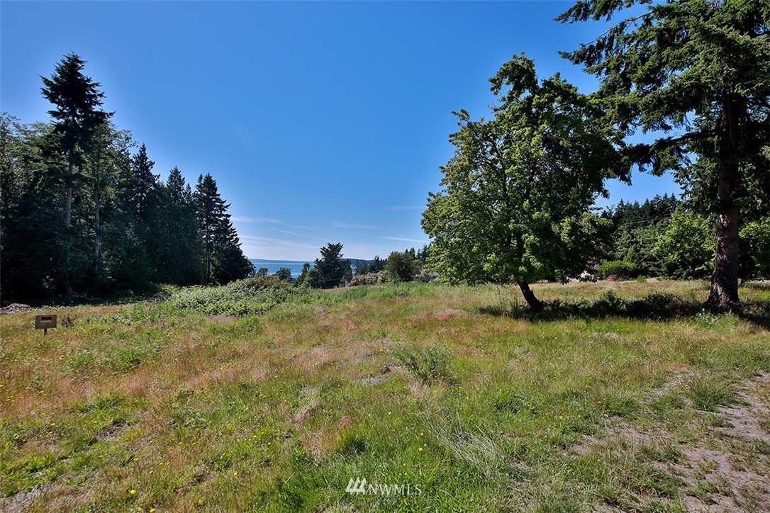 0 Wahl Road Freeland, WA 98249 - Photo 20 of 35