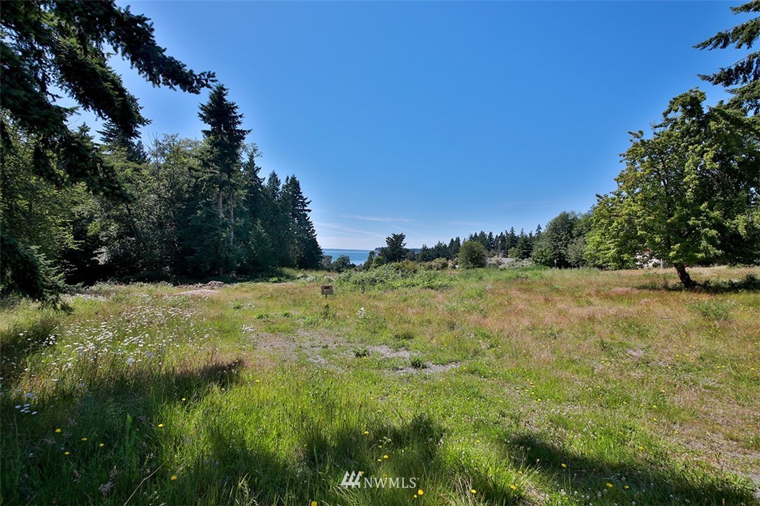0 Wahl Road Freeland, WA 98249 - Photo 3 of 35
