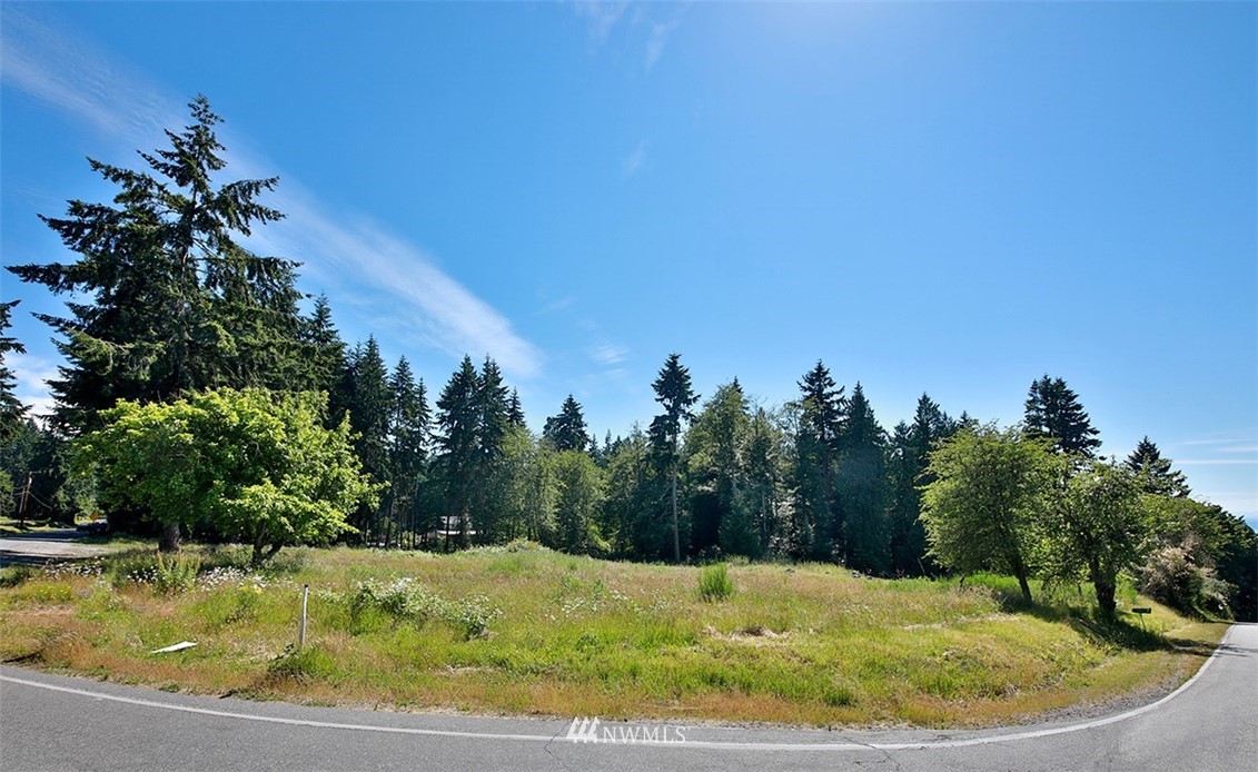 0 Wahl Road Freeland, WA 98249 - Photo 4 of 35