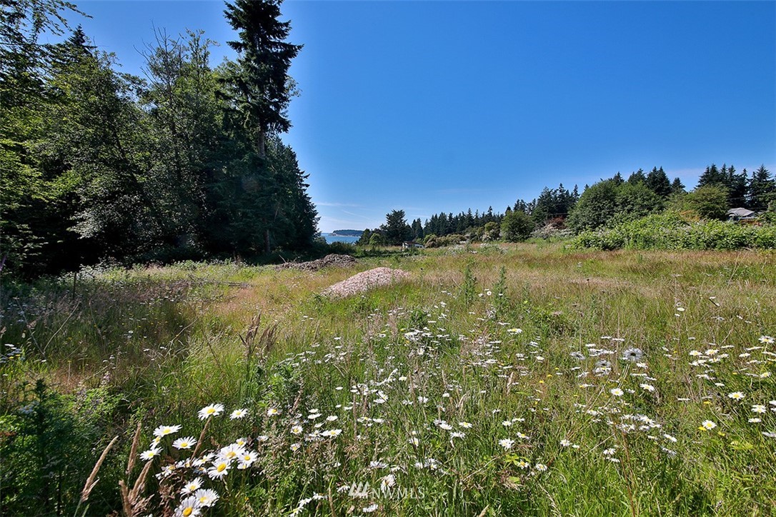 0 Wahl Road Freeland, WA 98249 - Photo 5 of 35