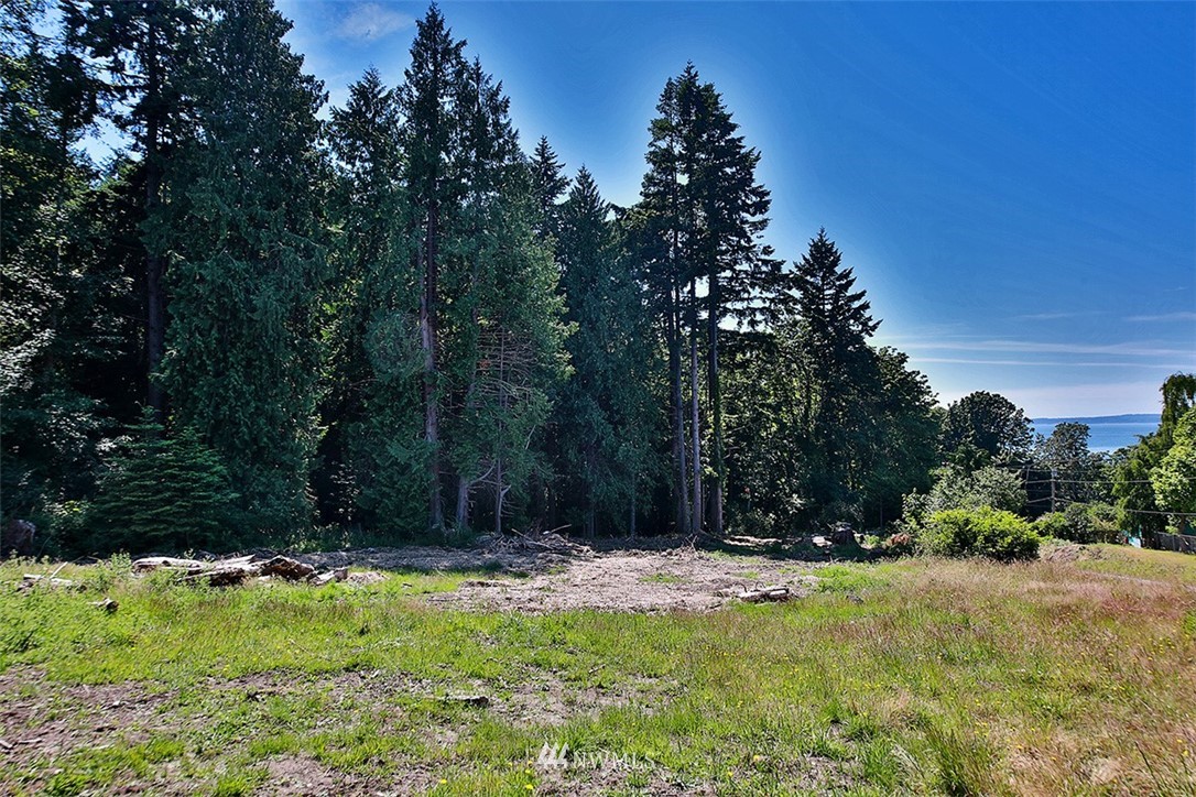 0 Wahl Road Freeland, WA 98249 - Photo 6 of 35
