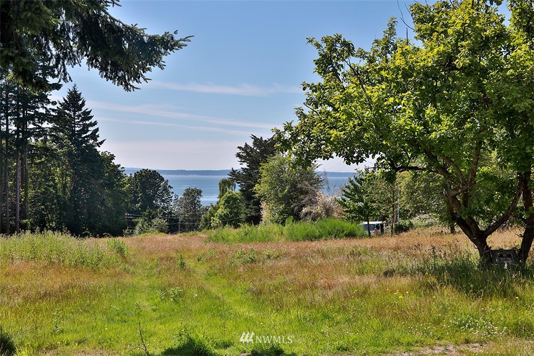 0 Wahl Road Freeland, WA 98249 - Photo 8 of 35