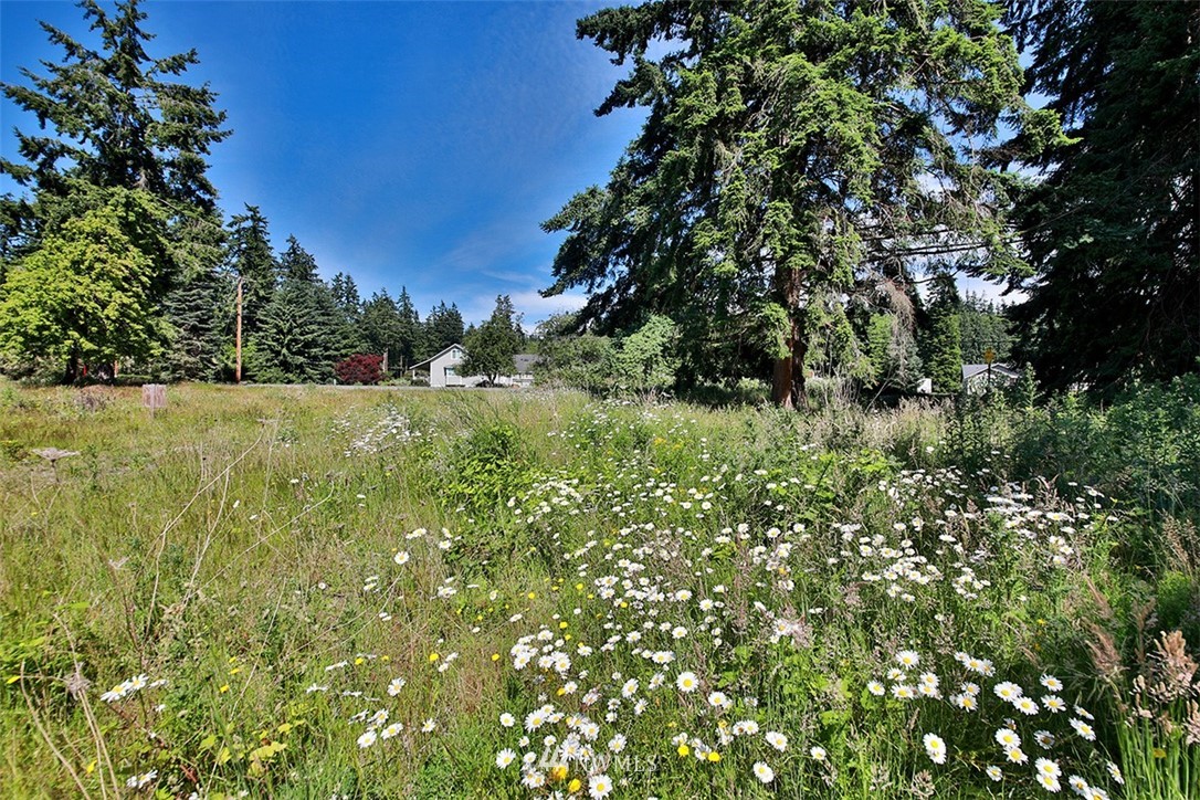 0 Wahl Road Freeland, WA 98249 - Photo 9 of 35
