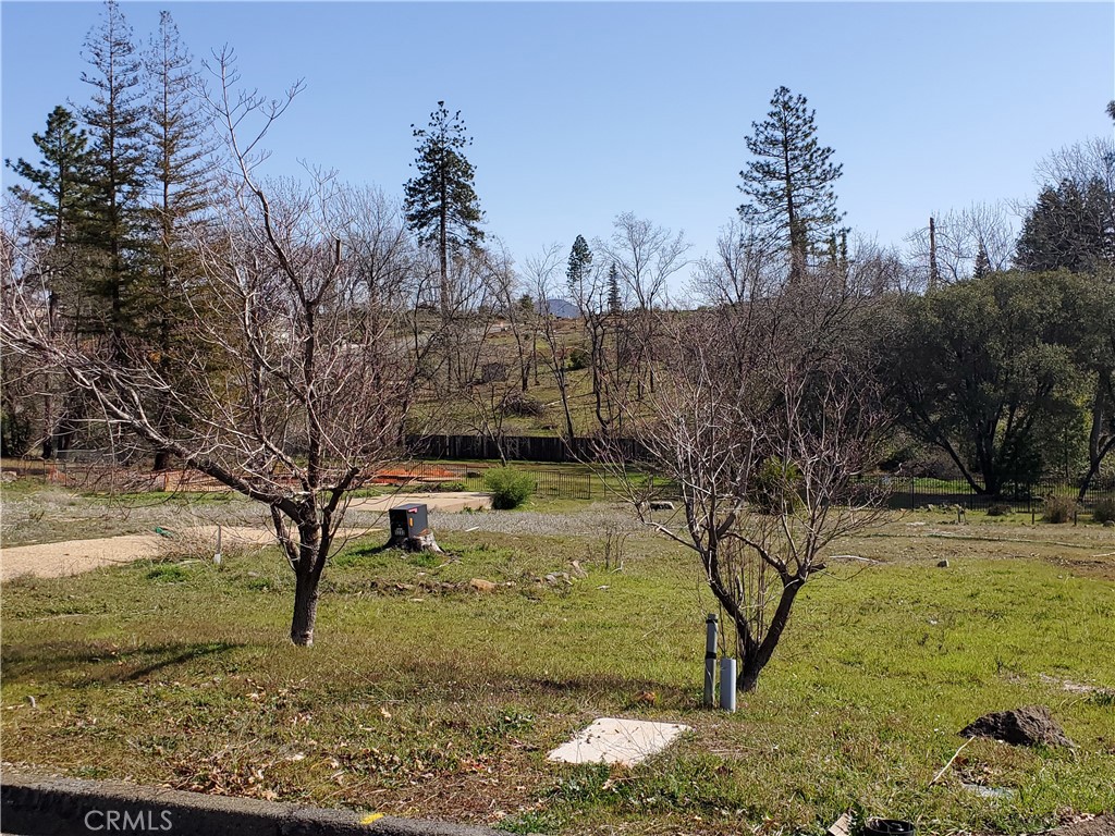 a view of a yard with large trees