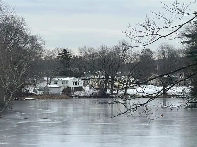 a view of swimming pool with outdoor seating and covered with trees