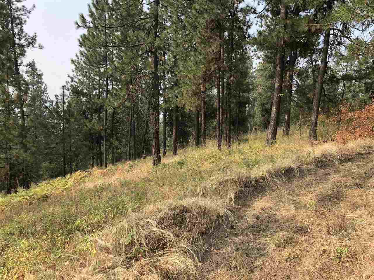 23000 North Dunn Road Chattaroy, WA 99003 - Photo 1 of 2
