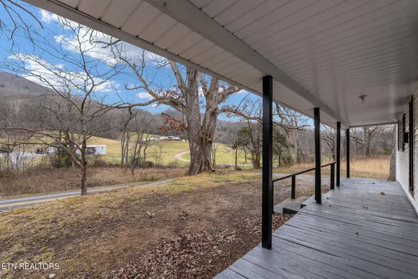 a view of a yard with a tree