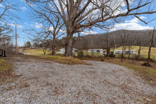a view of a small yard