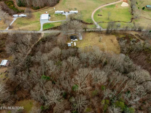 a view of a yard