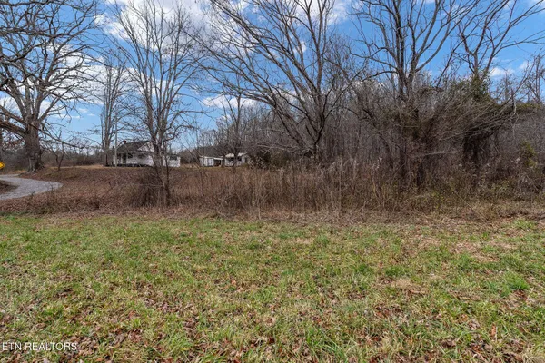 a view of a yard with wooden fence