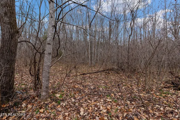 a view of a backyard with table and chairs and a fire pit