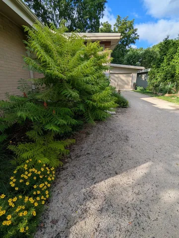 a view of a garden with plants