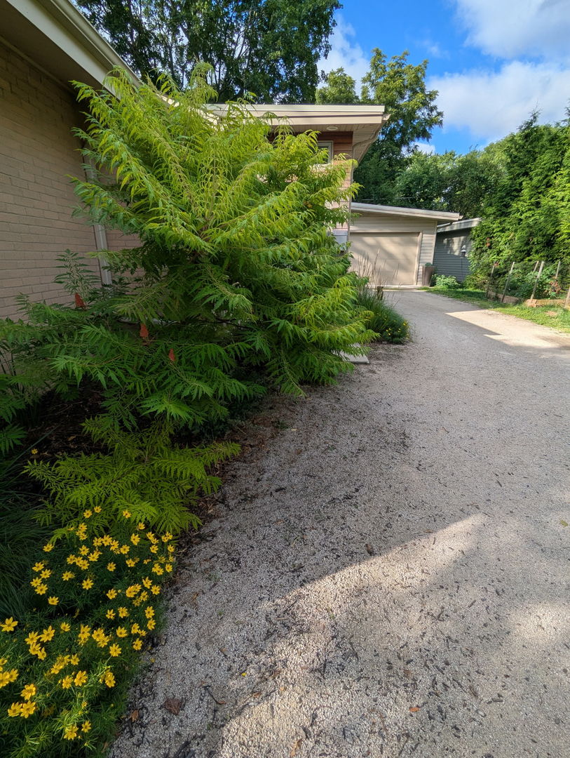 321 Ferndale Road Glenview, IL 60025 - Photo 29 of 30 a view of a garden with plants