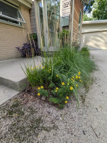 a view of a backyard