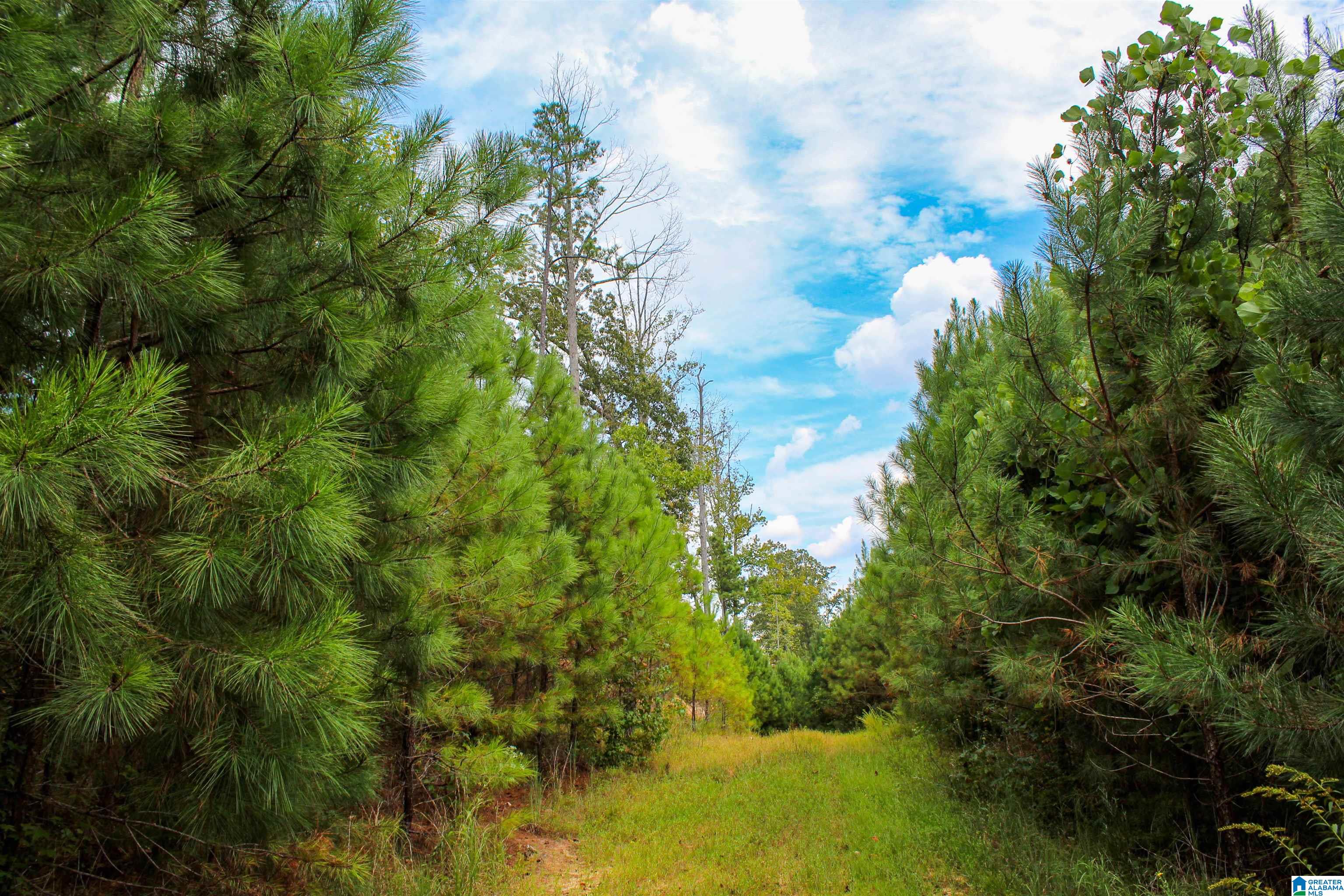 1 Highway 13, Unit 1 Berry, AL 35546 - Photo 27 of 52