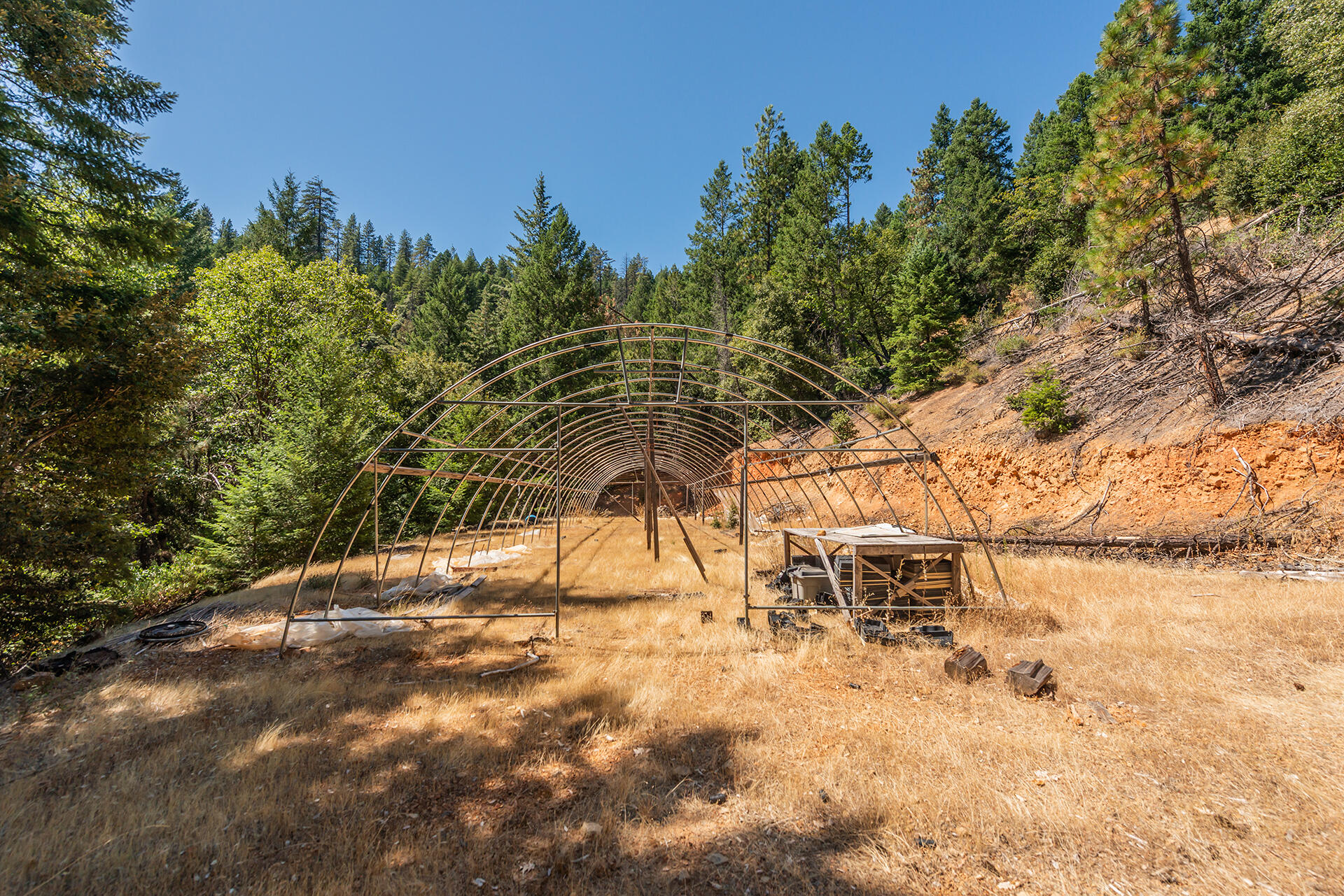 1511 Upper Moore Gulch Road Trinity Center, CA 96091 - Photo 56 of 62 DSC_6734