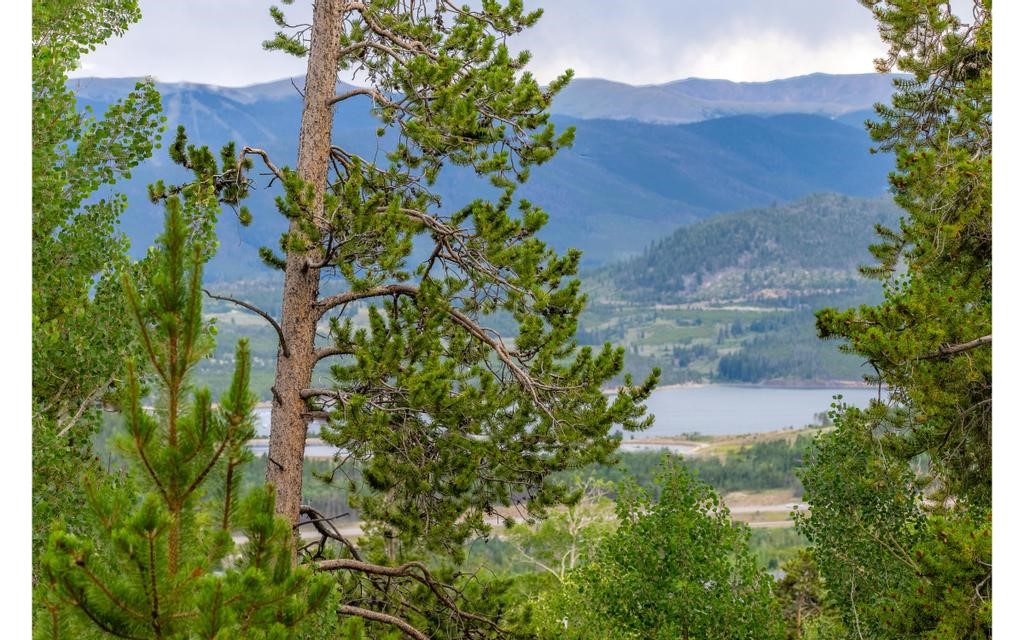 326 Spring Beauty Drive Silverthorne, CO 80498 - Photo 4 of 33 an aerial view of a house with a yard and a yard