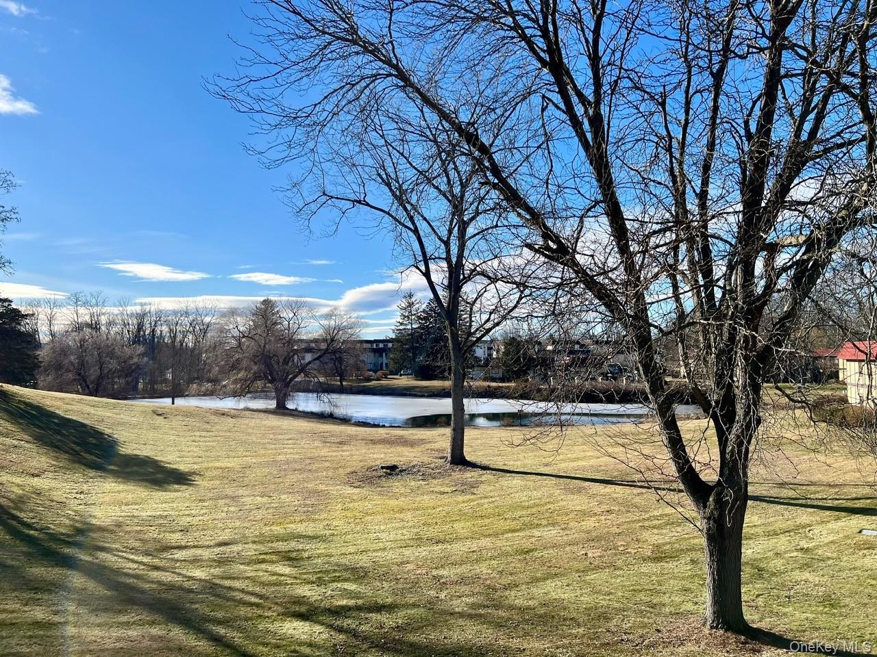 9 Loudon Drive, Unit 6 Fishkill, NY 12524 - Photo 15 of 16 a view of a swimming pool with an outdoor seating and a yard