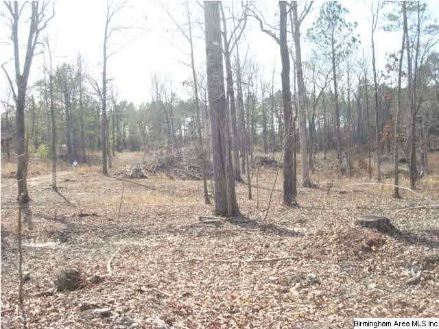 1180 Thompson Road, Unit 39 ACRES Ohatchee, AL 36271 - Photo 7 of 16