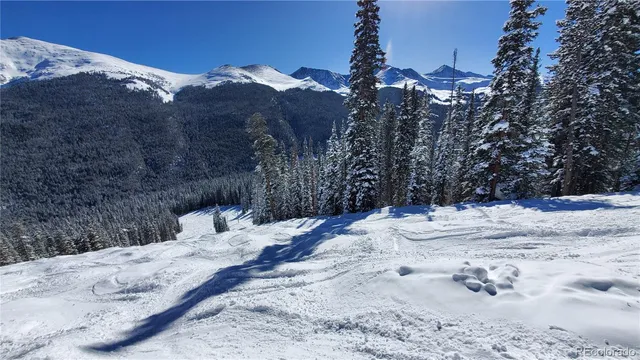 $3,000 | 2400 Lodgepole Circle, Unit 302, Silverthorne, CO 80498
