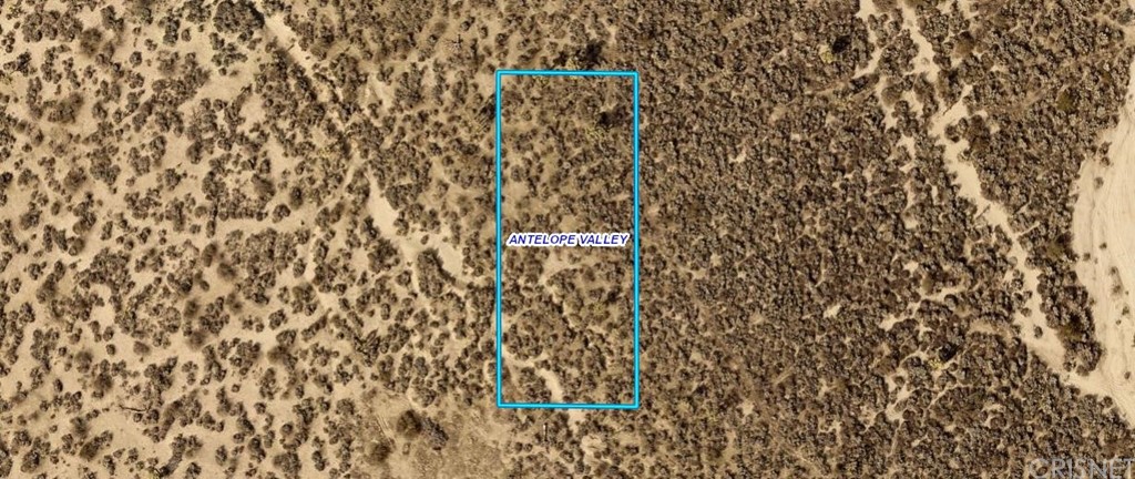 a bathroom with a shower curtain